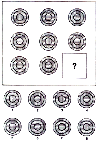 test matrices de Raven