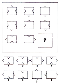 test matrices de Raven